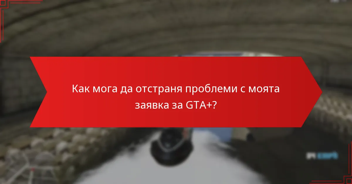 Какви често срещани проблеми мога да срещна по време на процеса на заявка?
